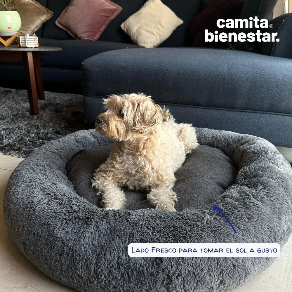 💤🍩 Camita Donut Bienestar para Mascotas Antiestrés🐶🐱
