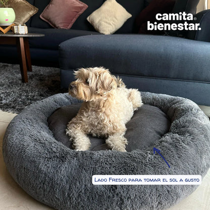 💤🍩 Camita Donut Bienestar para Mascotas Antiestrés🐶🐱