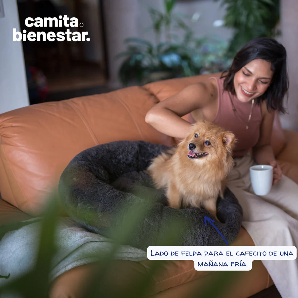 💤🍩 Camita Donut Bienestar para Mascotas Antiestrés🐶🐱