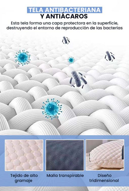 PACK 2 UNIDADES CerviCare®🐑 Almohada Ortopedica Para La Cervical😴💭🐑