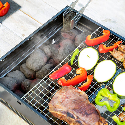 Barbacoa Plegable Portátil para Carbón BearBQ♨️